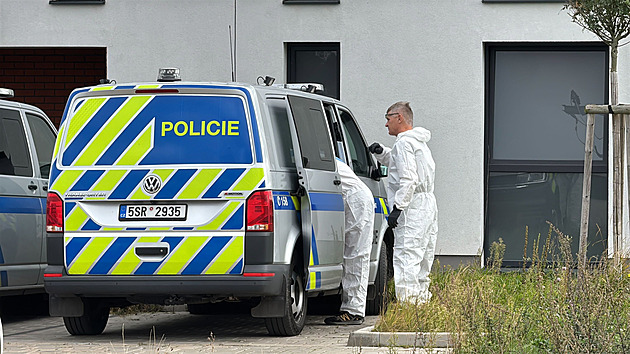 Za vraždu dítěte v Kolíně hrozí matce až výjimečný trest, policie navrhuje vazbu