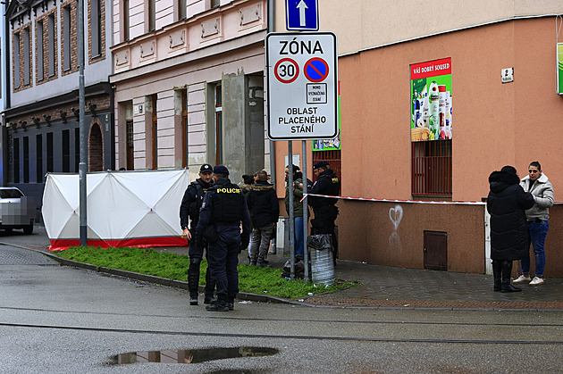Za vraždu partnerky na ulici hrozí muži 20 let, čin podle policie plánoval