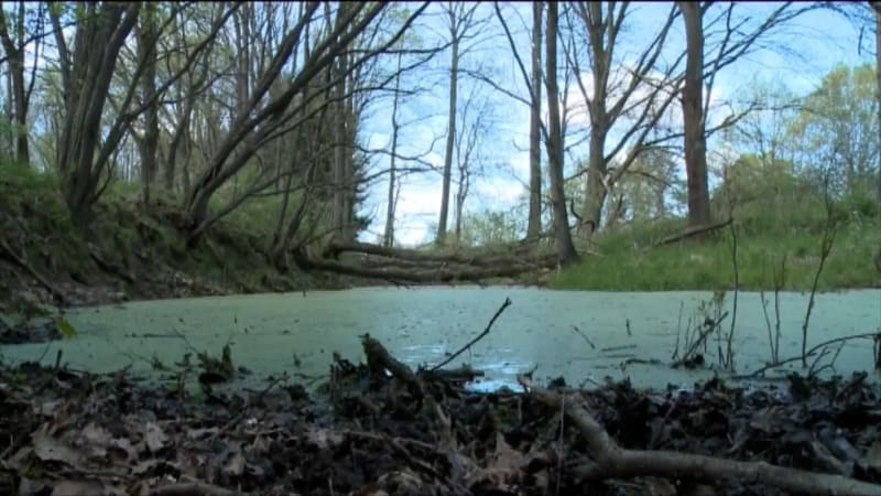Vraždy, které nedají jihočeské kriminálce spát: Zabiják na dně přehrady i dítě v kontejneru