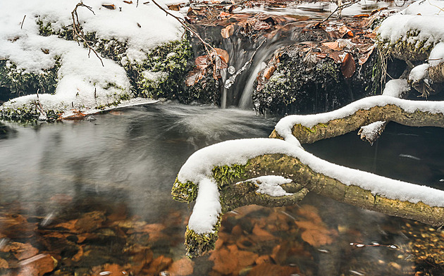 Místo, které miloval Masaryk i Gott. Za skutečnou zimou do Voděradských bučin