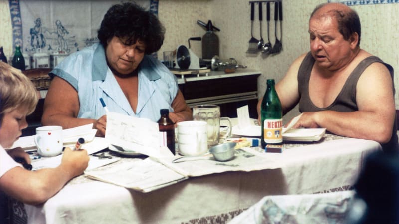 Nehoda cestou na plac: Slunce, seno, jahody málem nevzniklo